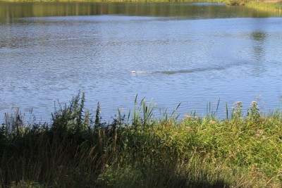 IMG_2585.JPG