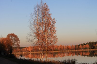 IMG_5779.JPG
