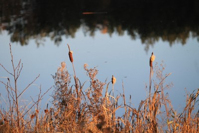 IMG_5784.JPG