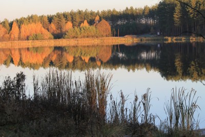 IMG_5816.JPG