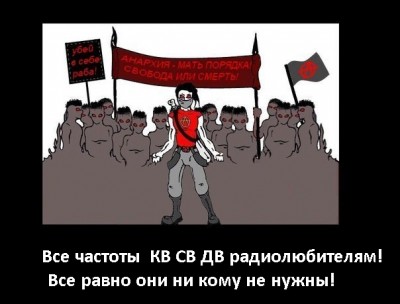 304_900.jpg