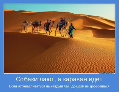 motivator-57249.JPG