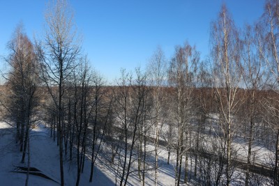 IMG_3944.jpg