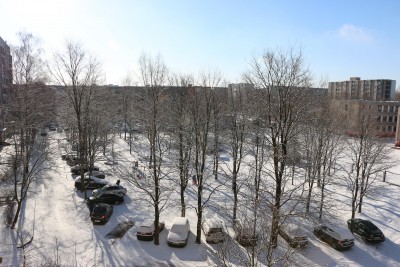 IMG_3947.jpg