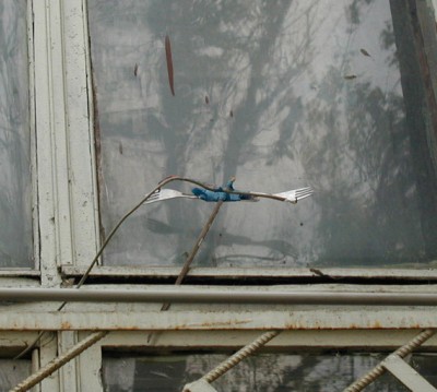 ant2002.jpg