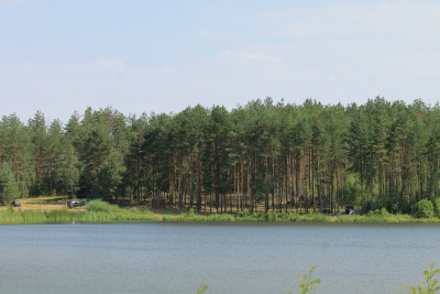 39.jpg