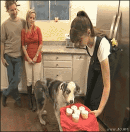 603a3304e27d.gif