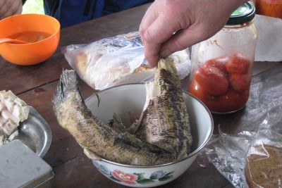 Голова,голова, главное хвост.