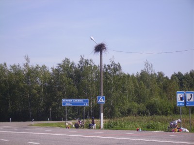 IMGP2875.JPG