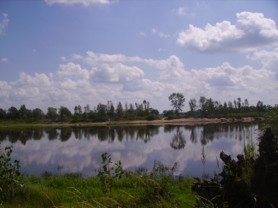 IMGP2885.JPG