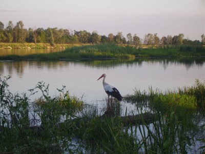 IMGP2912.JPG