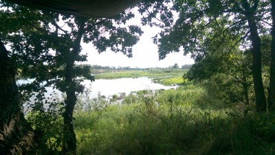 IMAG0974.jpg