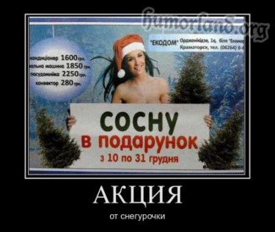 1323930554_podarok_ot_snegurochki.jpg