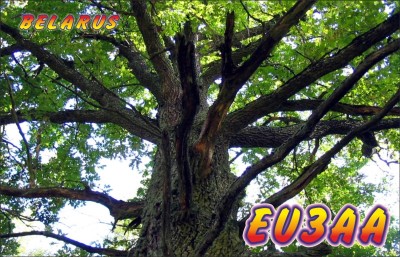 eu3aa-2f.jpg