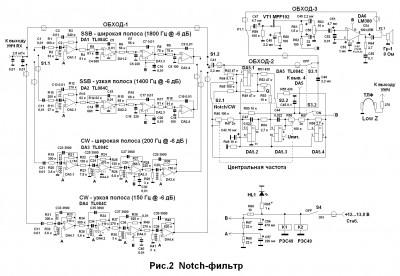 Notch2_ris2_big.jpg