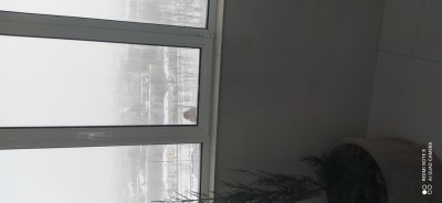 IMG_20210212_094325.jpg