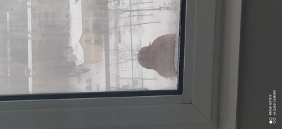 IMG_20210212_094345.jpg