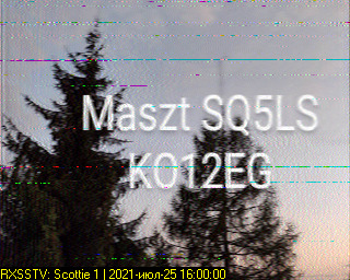 2021-07-25_15.59.56.jpg
