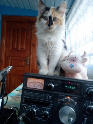 Дача.jpg