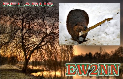 ew2nn-1f.jpg