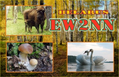 ew2nn-2f.jpg