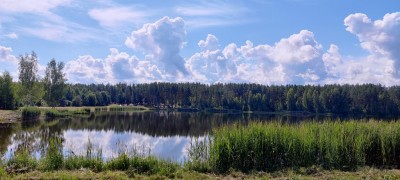 IMG_20220717_103141.jpg