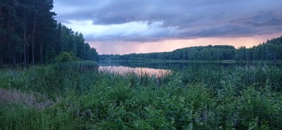 IMG_20220716_205453.jpg