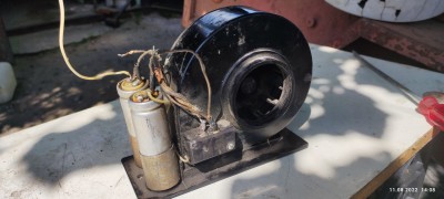 IMG_20220811_140814.jpg