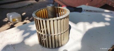 IMG_20220811_134226.jpg