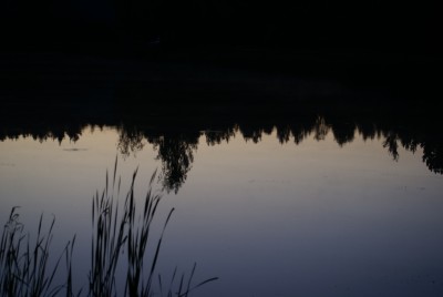 DSC09417.JPG
