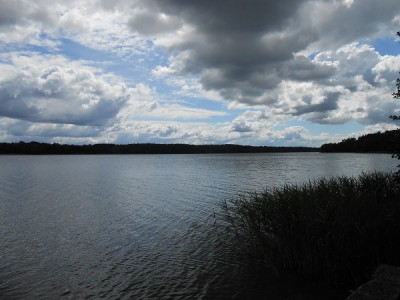 DSCN0953.JPG