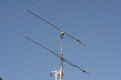 ANT1.jpg