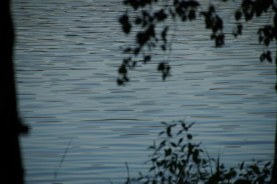 DSC04734.JPG