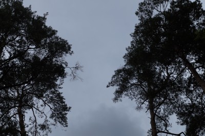 DSC04764.JPG