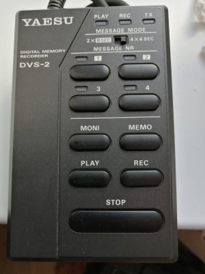 DVS-2.jpg