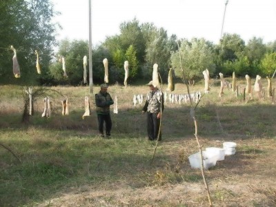 рыбы сентябрь 2009 1.jpg