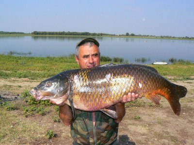 Вам слабо - сазан за 30 кг август 2008 р Ахтуба.jpg