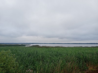 IMG20260719100228.jpg