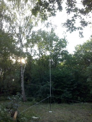 CAM00484.jpg