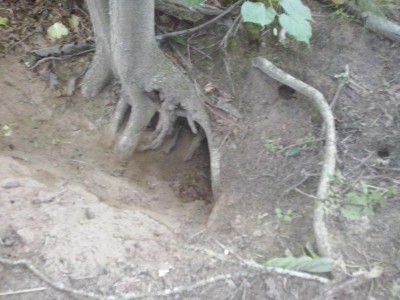 CAM00505.jpg