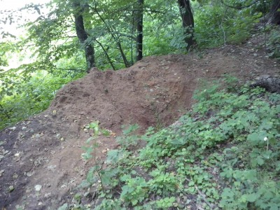 CAM00513.jpg