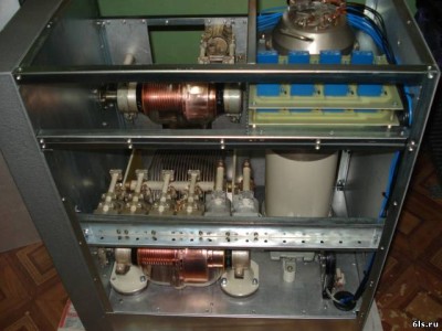 8931734.jpg